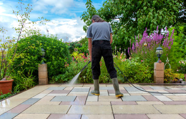 Trusted Park Ridge, IL Pressure Washing Experts